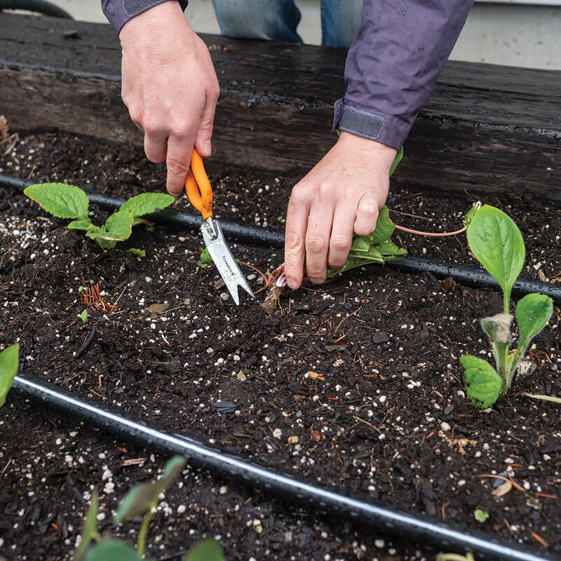 Nifty Weeder – N504 1 Nifty Weeder – N504