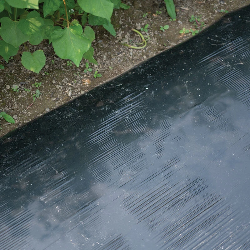 Solar Shrink – 48" X 1,000' 1 Solar Shrink – 48" X 1,000'