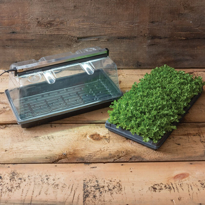 SunBlaster Mini Greenhouse Kit 1 SunBlaster Mini Greenhouse Kit