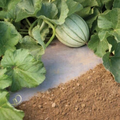 WeedGuardPlus® Paper Mulch – 48" X 250'