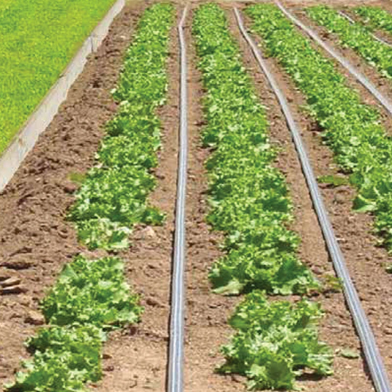 Johnny's Drip Irrigation Kit – 1,000' 1 Johnny's Drip Irrigation Kit – 1,000'