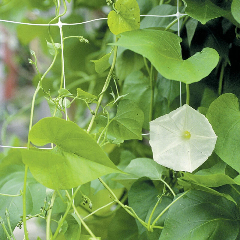 Hortonova FG – 67" X 328' 1 Hortonova FG – 67" X 328'