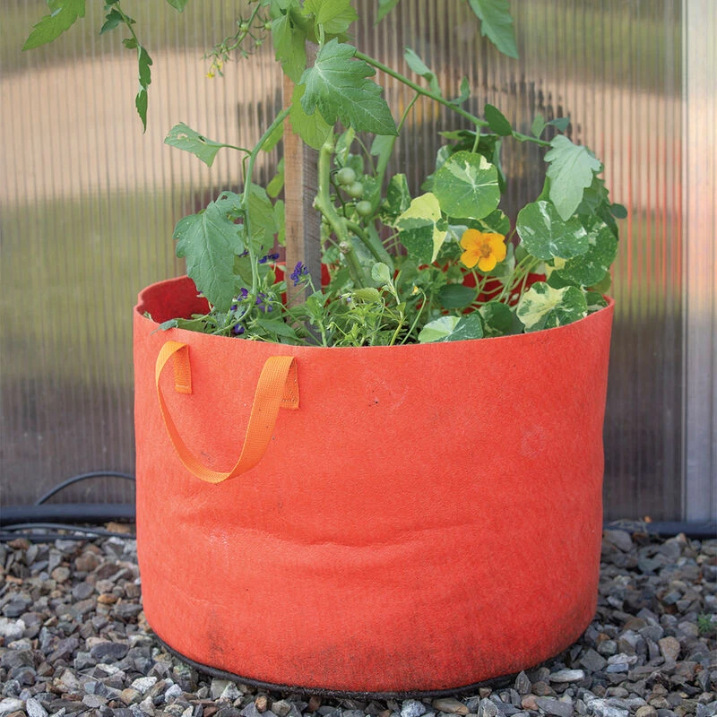 Smart Pot® Vivid Color, Mandarin Orange – 15 Gal. 2 Smart Pot® Vivid Color, Mandarin Orange – 15 Gal. - Image 2