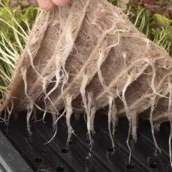 Garden Care Shop -Garden Care Shop 07548 02 10 20terrafibremat