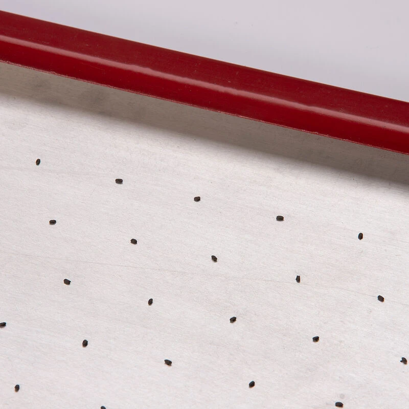 Seed Plate B264 2 Seed Plate B264 - Image 2