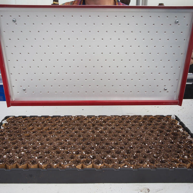 Seed Plate D264 1 Seed Plate D264