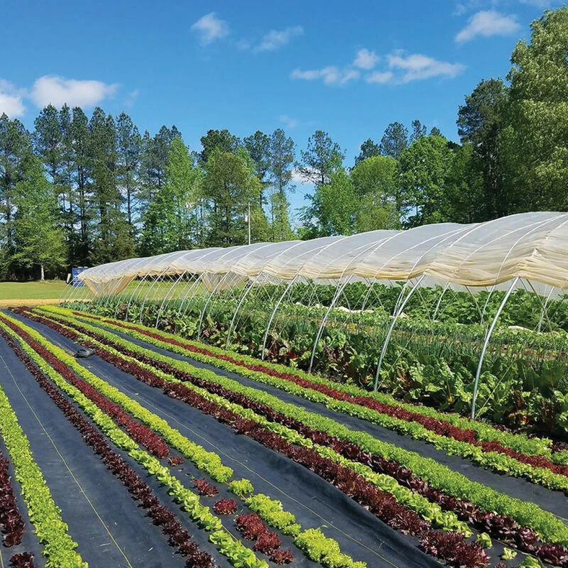 Sunbelt Black Ground Cover – 6' X 500' 1 Sunbelt Black Ground Cover – 6' X 500'