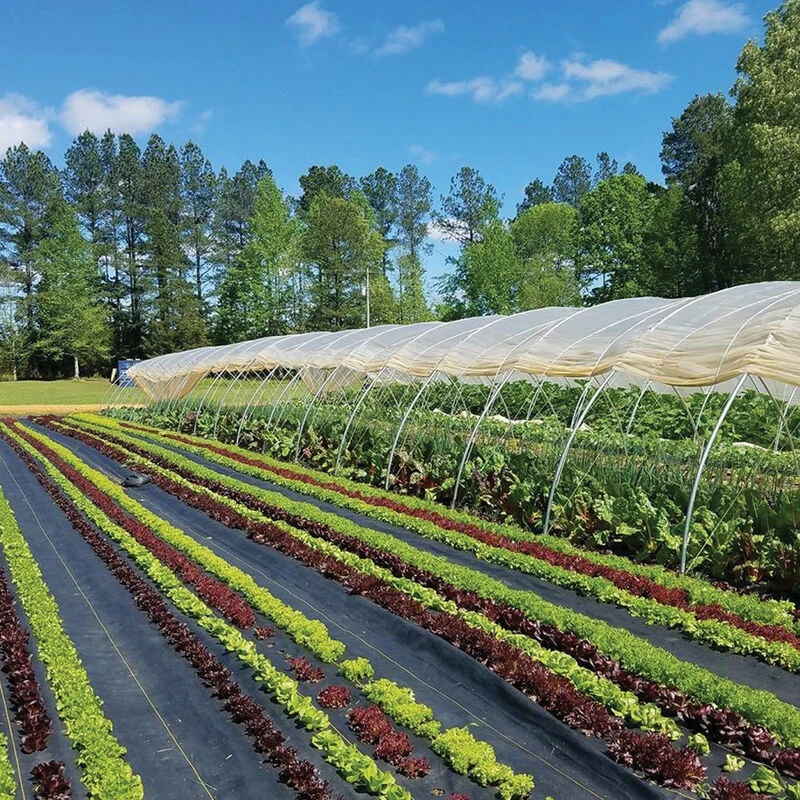 Sunbelt Black Ground Cover – 4' X 300' 1 Sunbelt Black Ground Cover – 4' X 300'