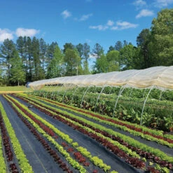 Sunbelt Black Ground Cover – 3' X 100'