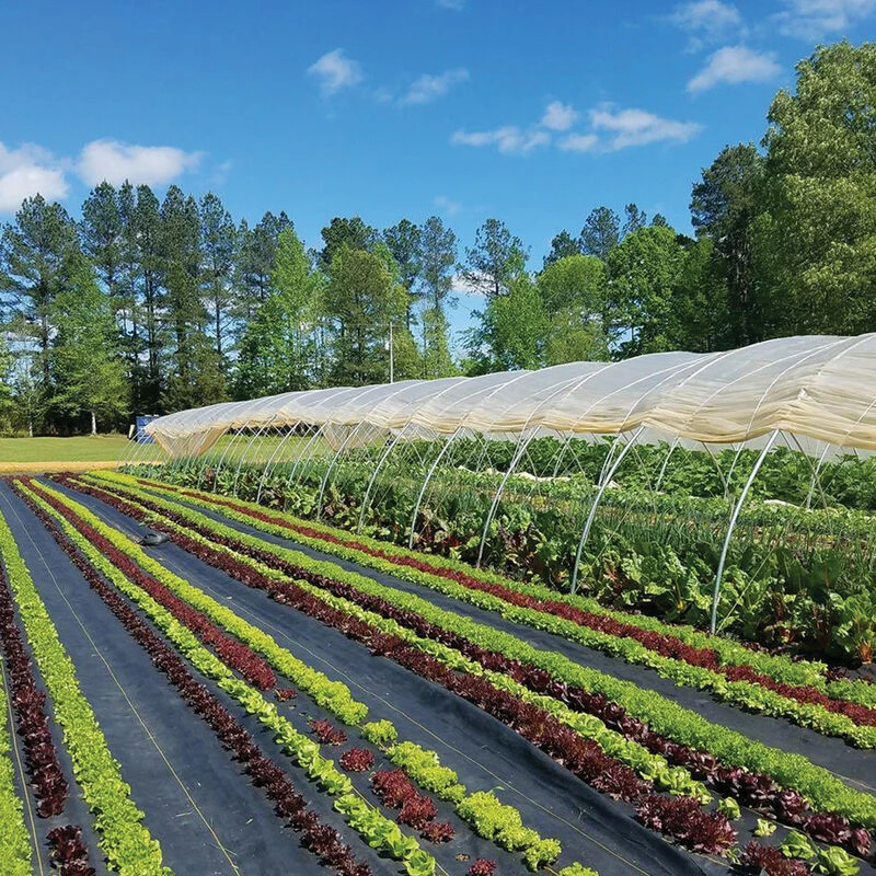 Sunbelt Black Ground Cover – 3' X 100' 1 Sunbelt Black Ground Cover – 3' X 100'