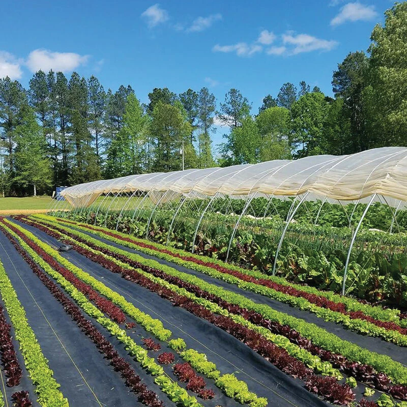 Sunbelt Black Ground Cover – 10' X 300' 1 Sunbelt Black Ground Cover – 10' X 300'