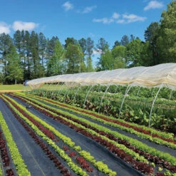 Sunbelt Black Ground Cover – 15' 6" X 300'