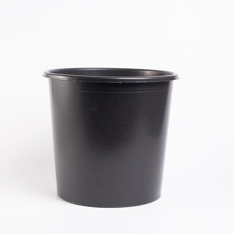 Flower Buckets – 10 L, 10 Count 1 Flower Buckets – 10 L, 10 Count