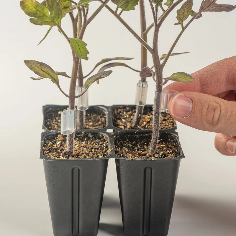 Top-Grafting Clips With Channel – 2.2 Mm 2 Top-Grafting Clips With Channel – 2.2 Mm - Image 2