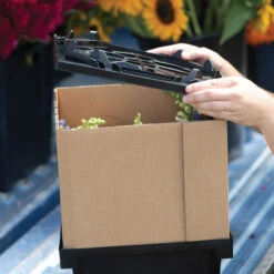 Florida Lid -Garden Care Shop 07925 04 floridalid