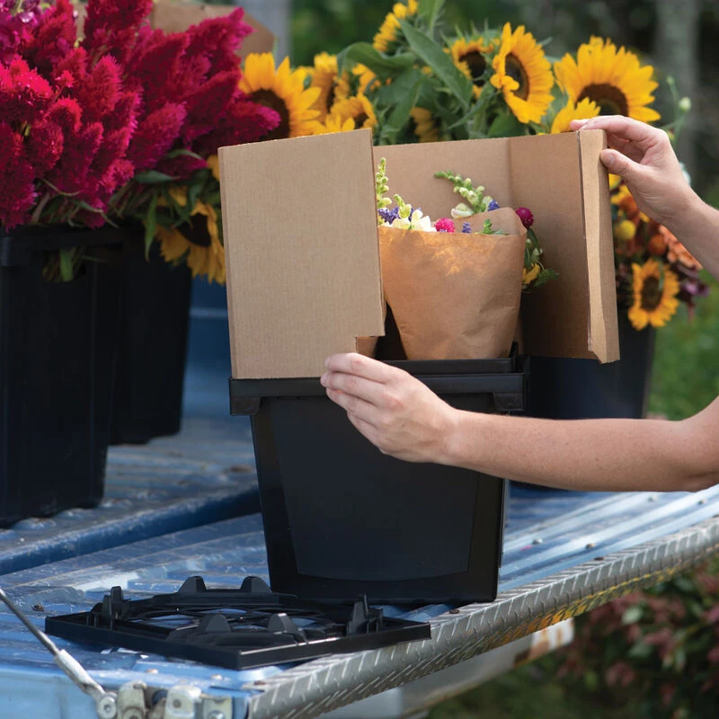 Florida Collar – 9" 1 Florida Collar – 9"