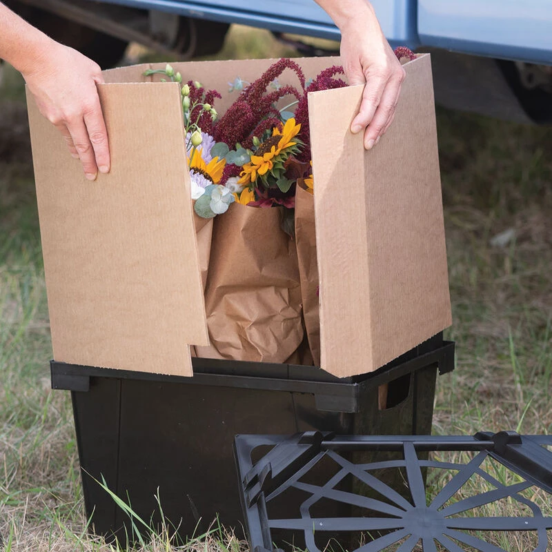 Valencia Collar – 13" 2 Valencia Collar – 13" - Image 2