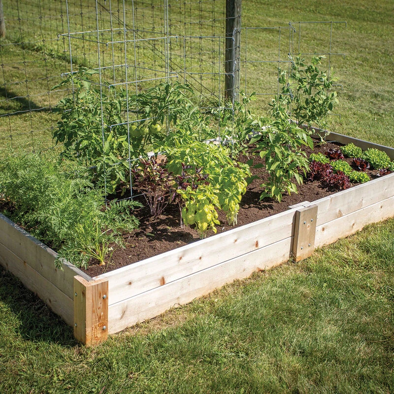 Cedar Raised Garden Bed – 4' X 8' 1 Cedar Raised Garden Bed – 4' X 8'