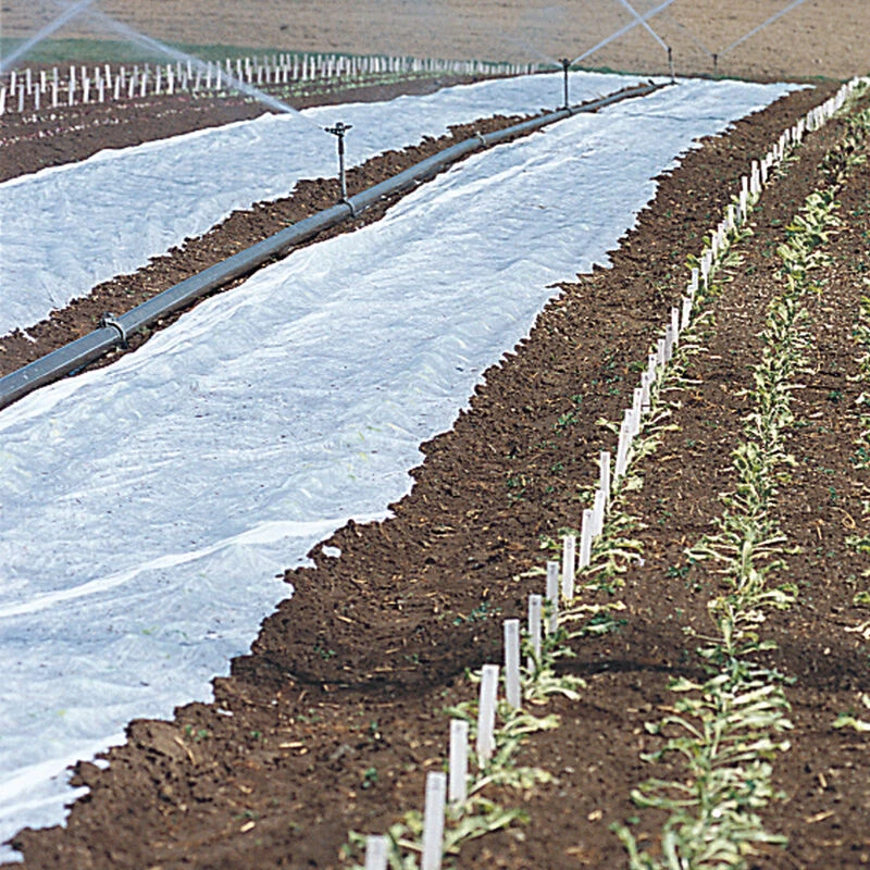 Agribon+ AG-19 – 30' X 100' 1 Agribon+ AG-19 – 30' X 100'