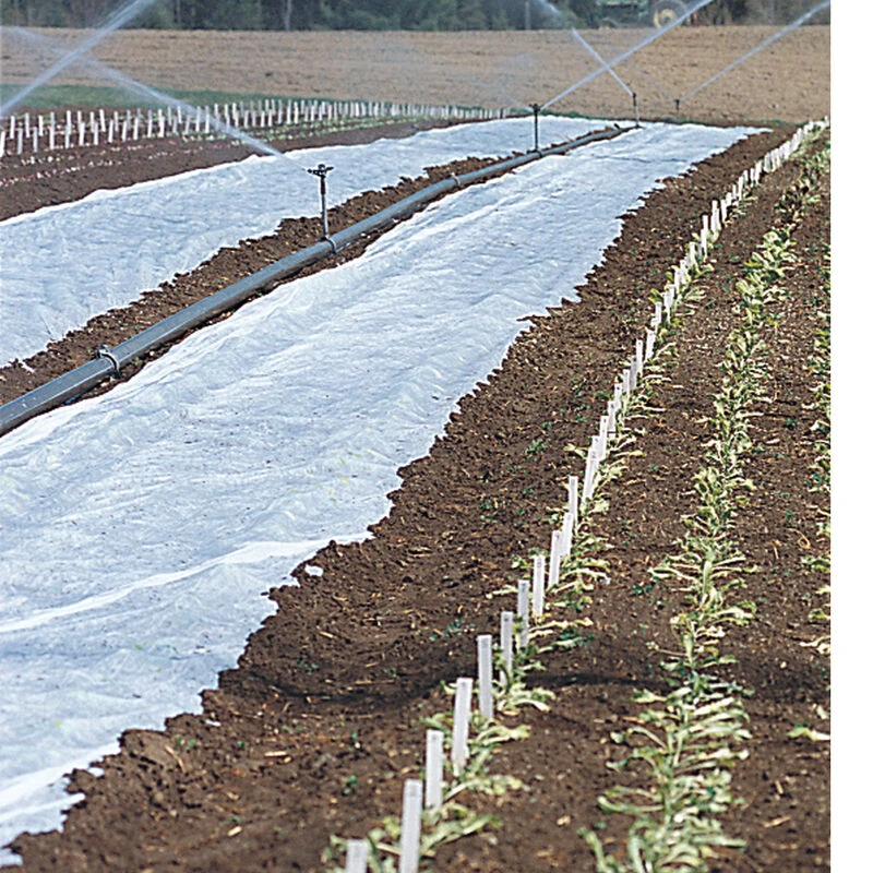 Agribon+ AG-19 – 83" X 250' 1 Agribon+ AG-19 – 83" X 250'