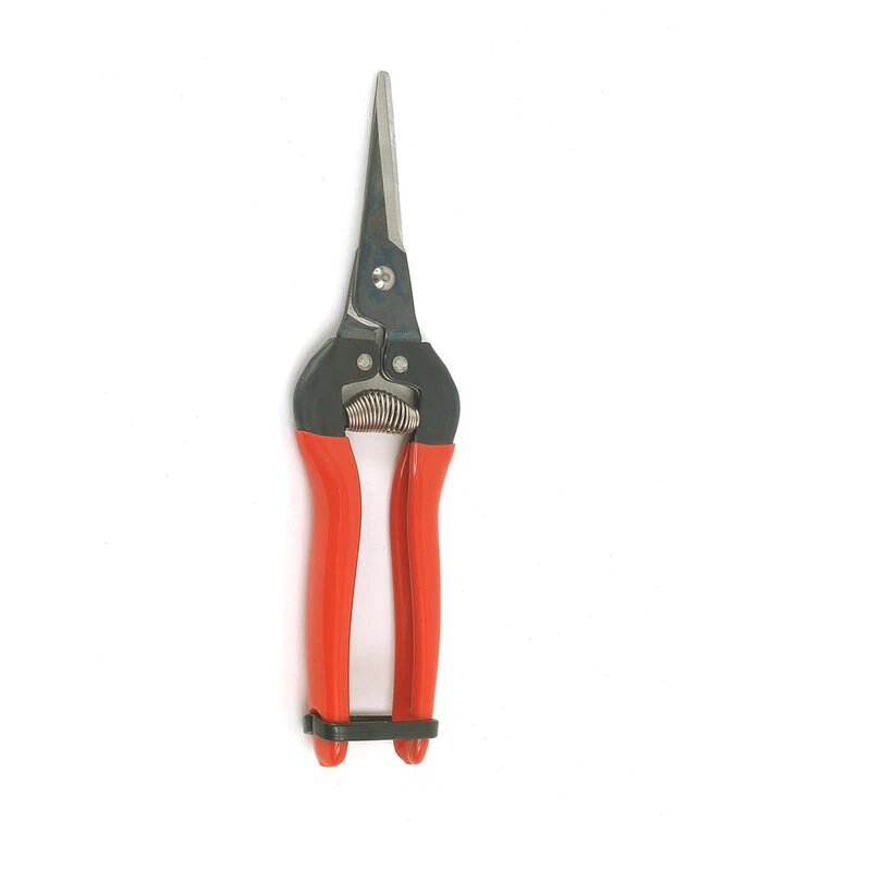 Needle Nose Shears 1 Needle Nose Shears
