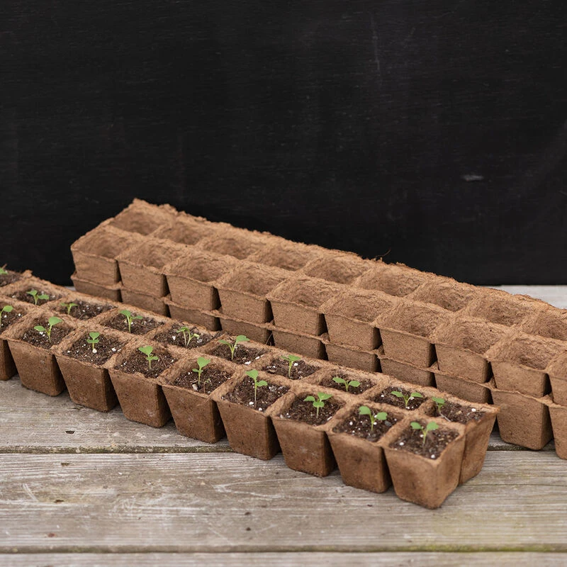 20 Cell Fertil Pots Strip – 10 Count 1 20 Cell Fertil Pots Strip – 10 Count