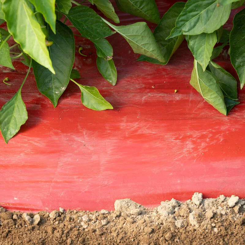 SRM Red Mulch – 4' X 600' 1 SRM Red Mulch – 4' X 600'