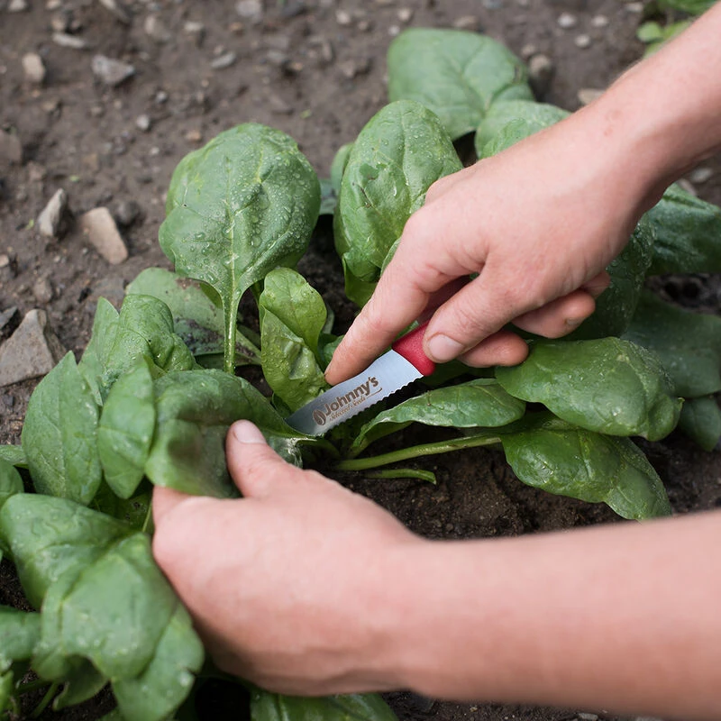 Victorinox Serrated Knife 1 Victorinox Serrated Knife