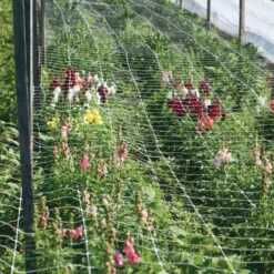 Hortonova FA – 48" X 3,280'