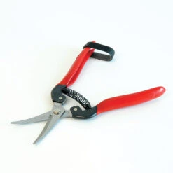 Grape & Tomato Shears