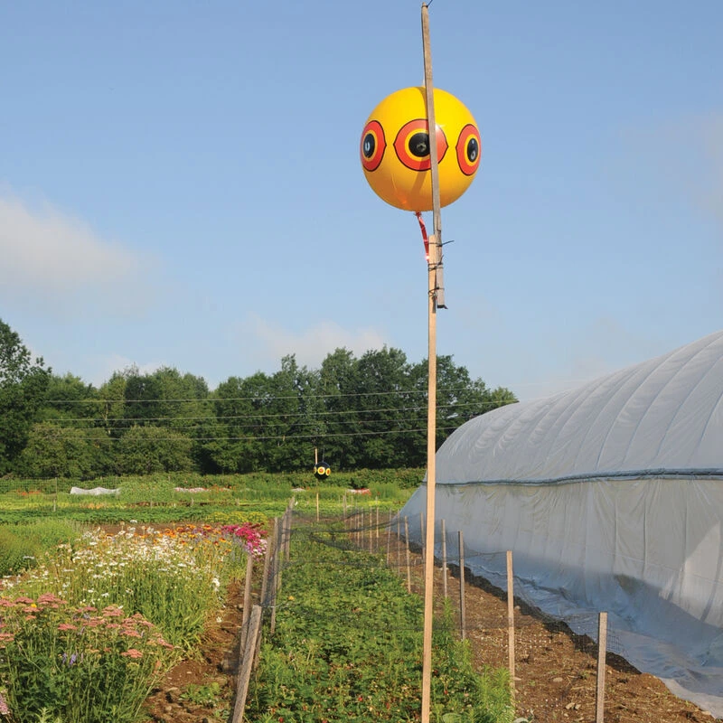 Terror-Eyes Balloons 1 Terror-Eyes Balloons
