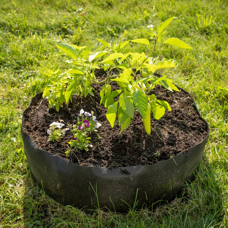 Big Bag Bed – Mini 1 Big Bag Bed – Mini