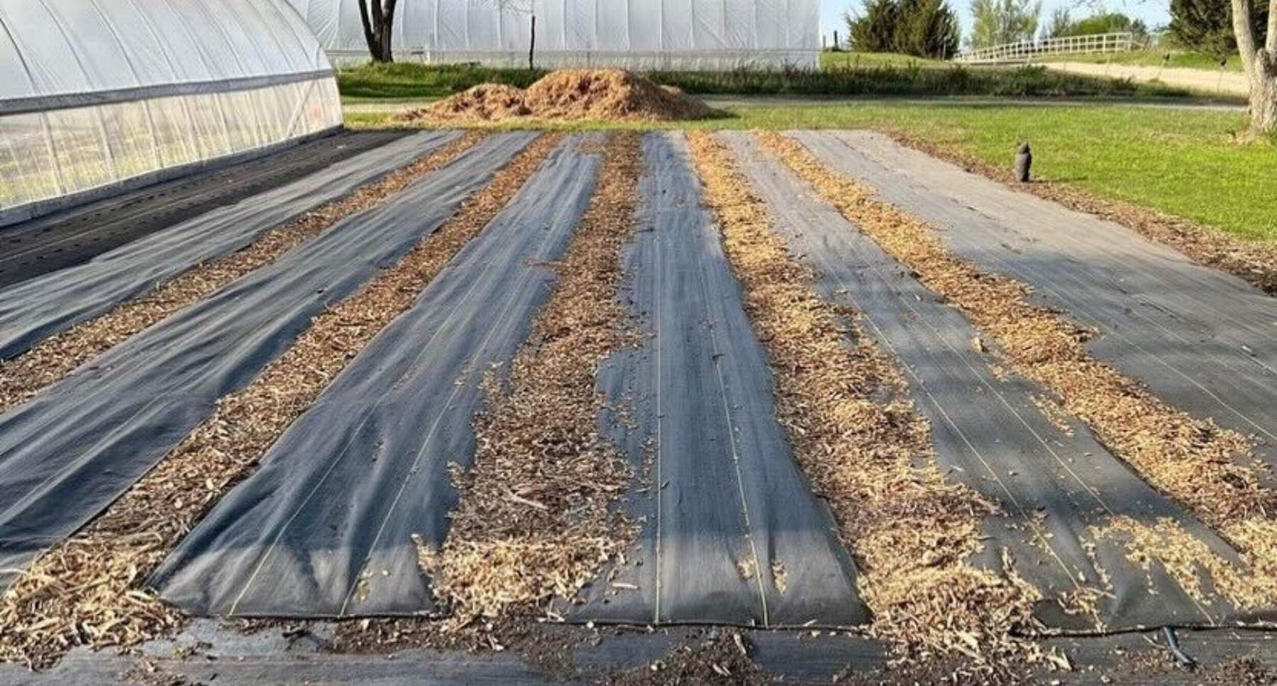 Garden Care Shop -Garden Care Shop 1